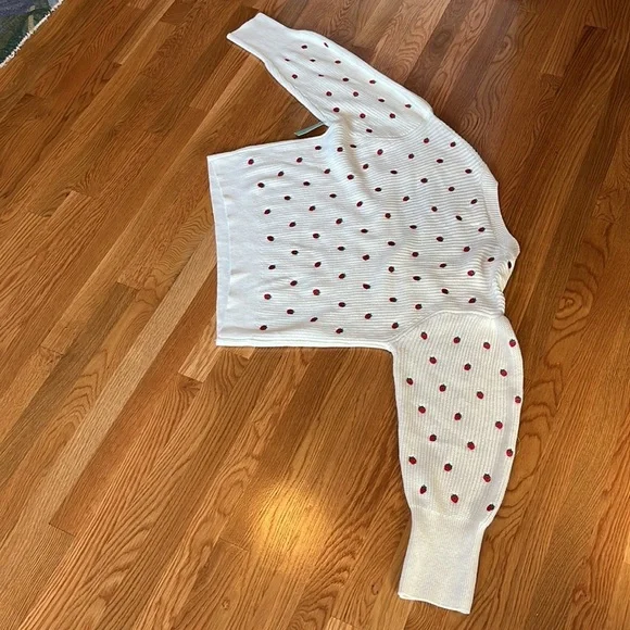 Anthropologie Maeve Embroidered Sweater Top NWT Size 3X - Picture 12 of 14